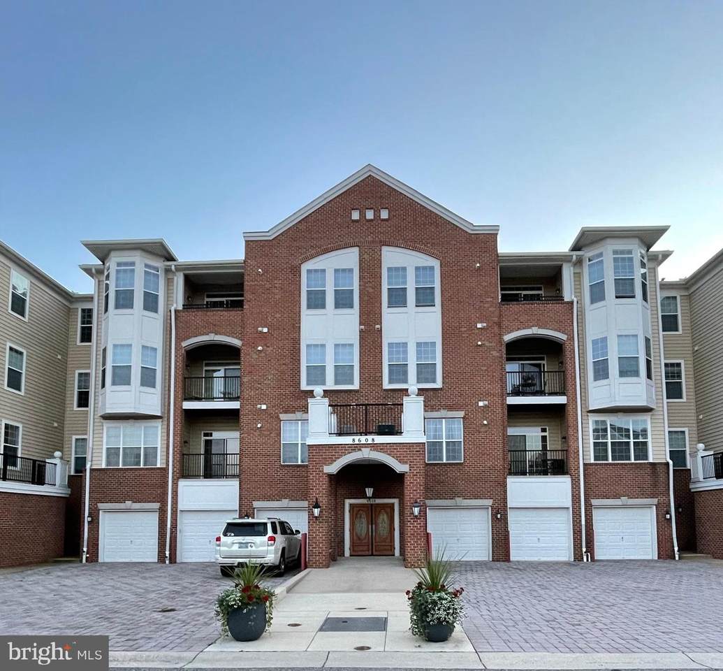 8608 Wandering Fox Trail - Photo 1
