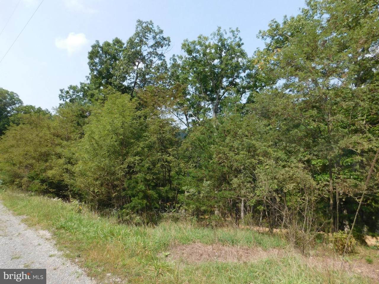 Lot 16 Quiveys Grove Trail - Photo 1