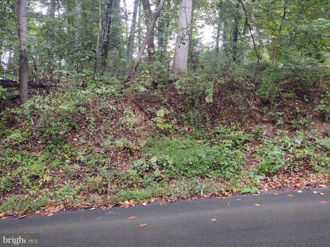 Lots 126-127 Codjus Drive - Photo 1