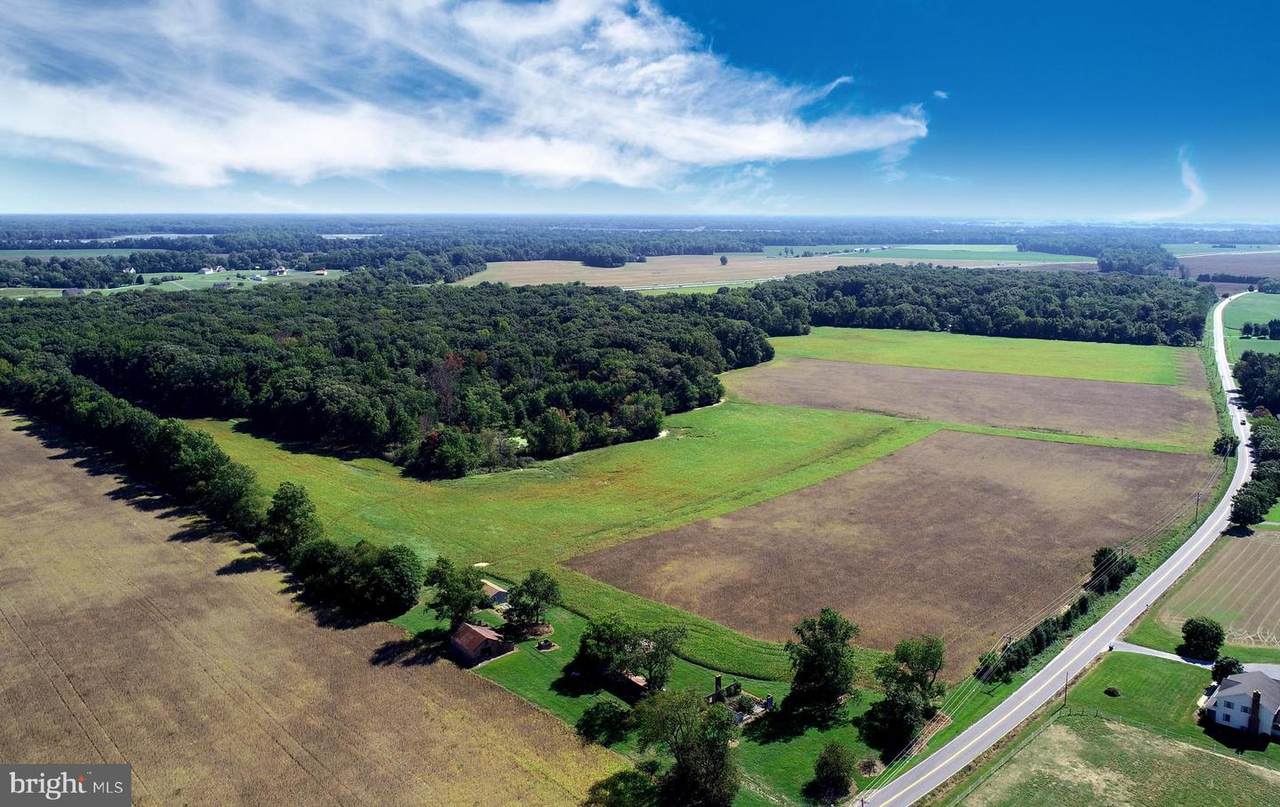 Sassafras Road - Photo 1