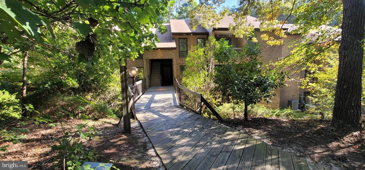 44691 White Oak Court - Photo 1