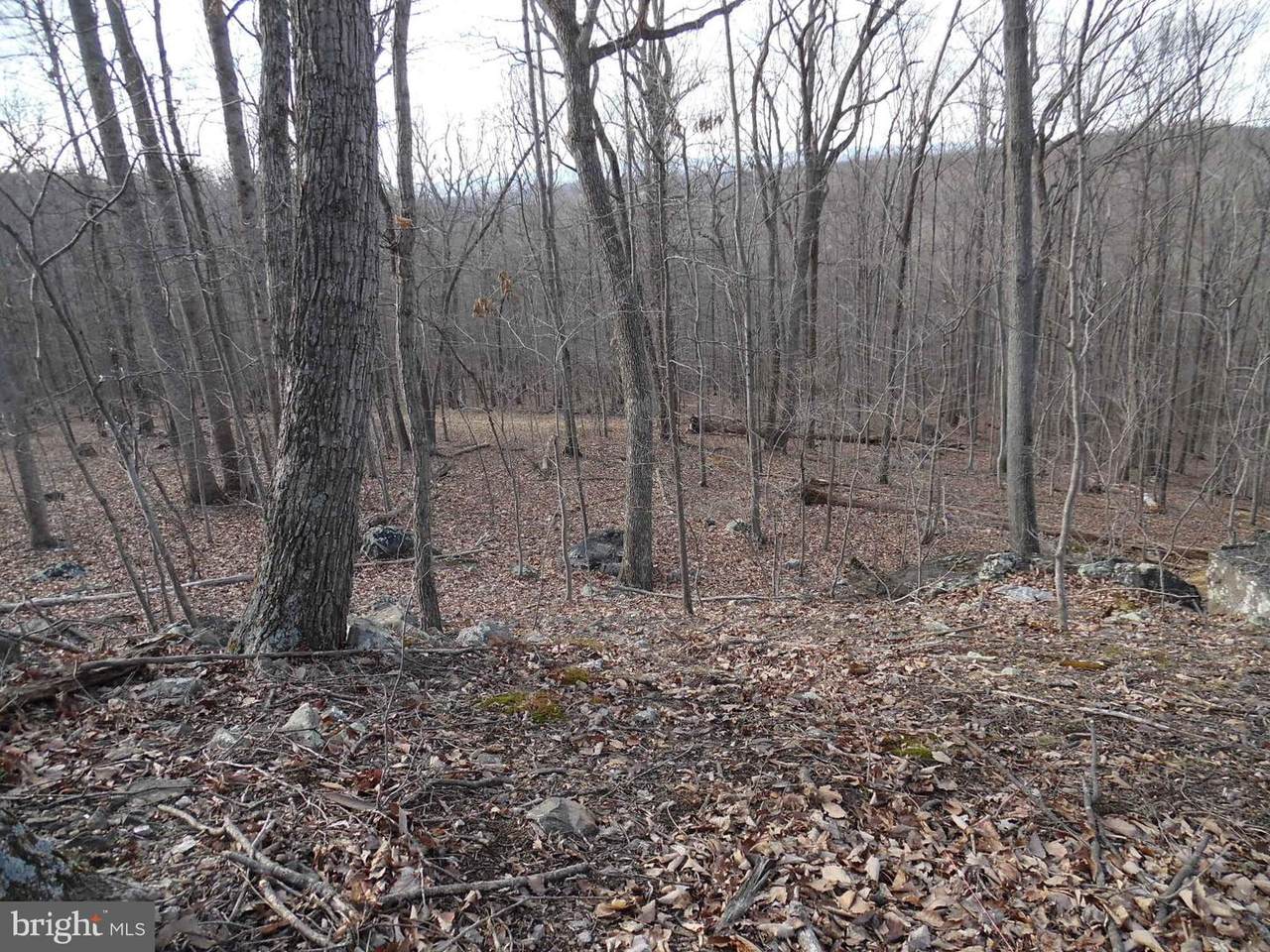 Lot 80 Gussin Way - Photo 1
