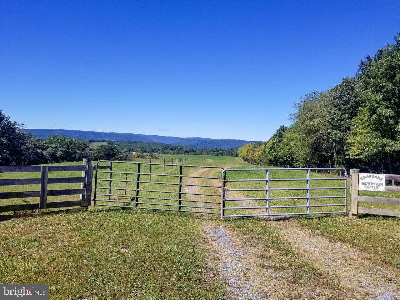 584 Hott Hill Road - Photo 1