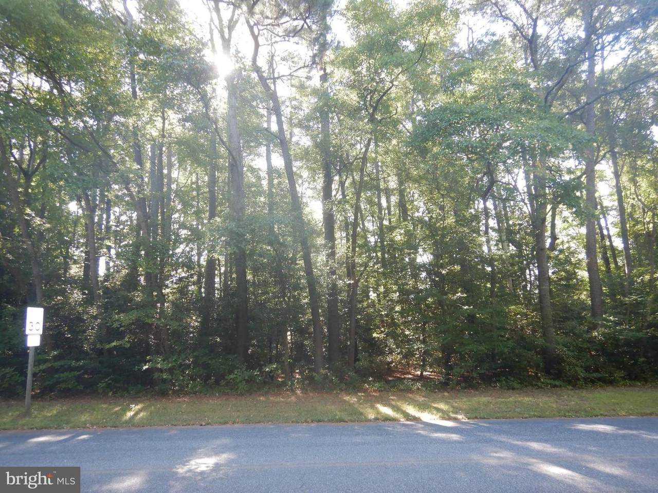 0 Algonquin Trail - Photo 1