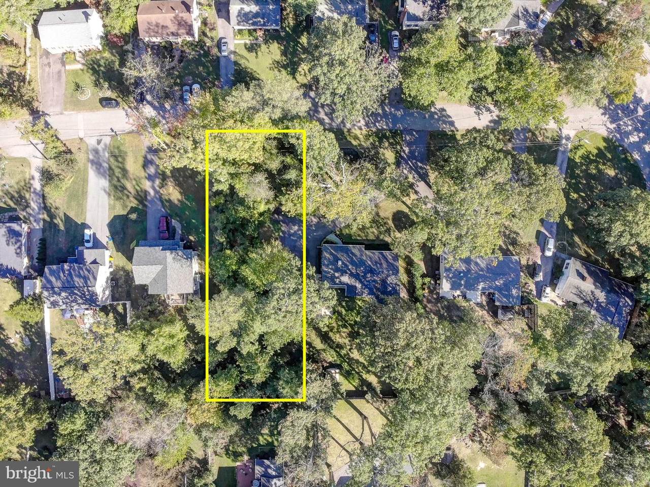 Cedar Lane - Photo 1