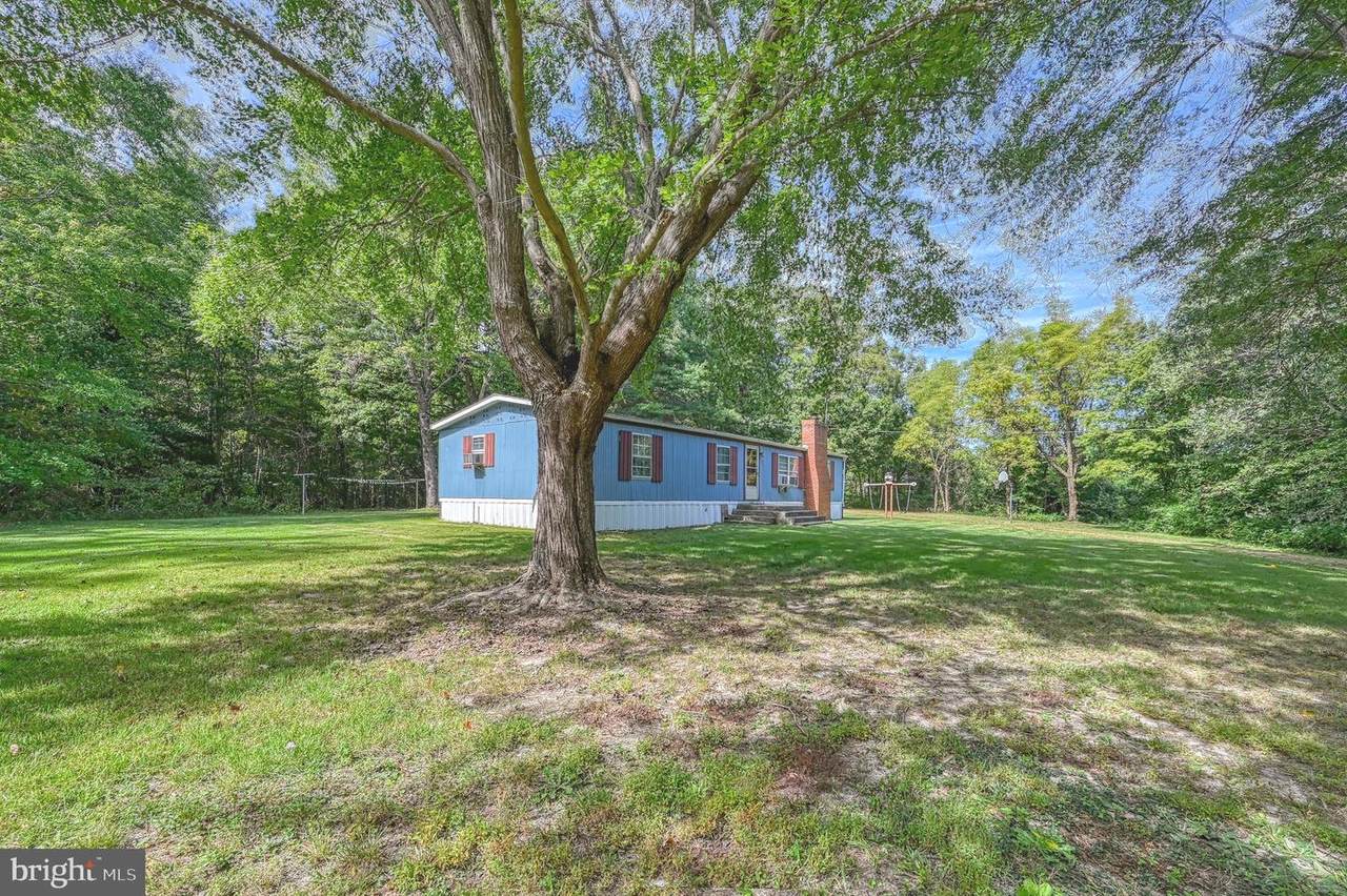 13287 Cross County Road - Photo 1