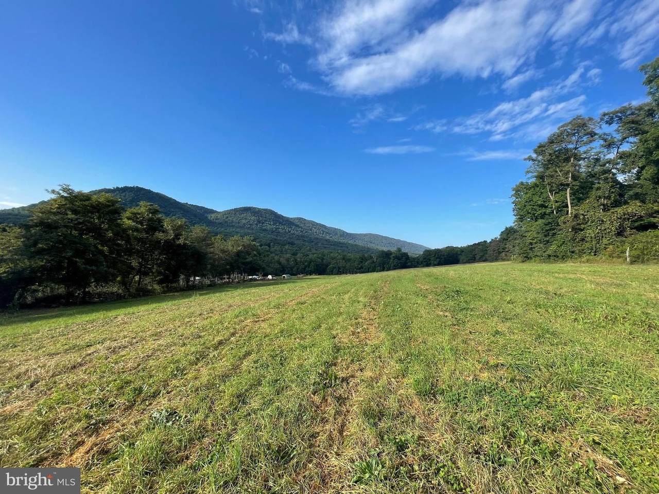 386 Bear Valley Road - Photo 1