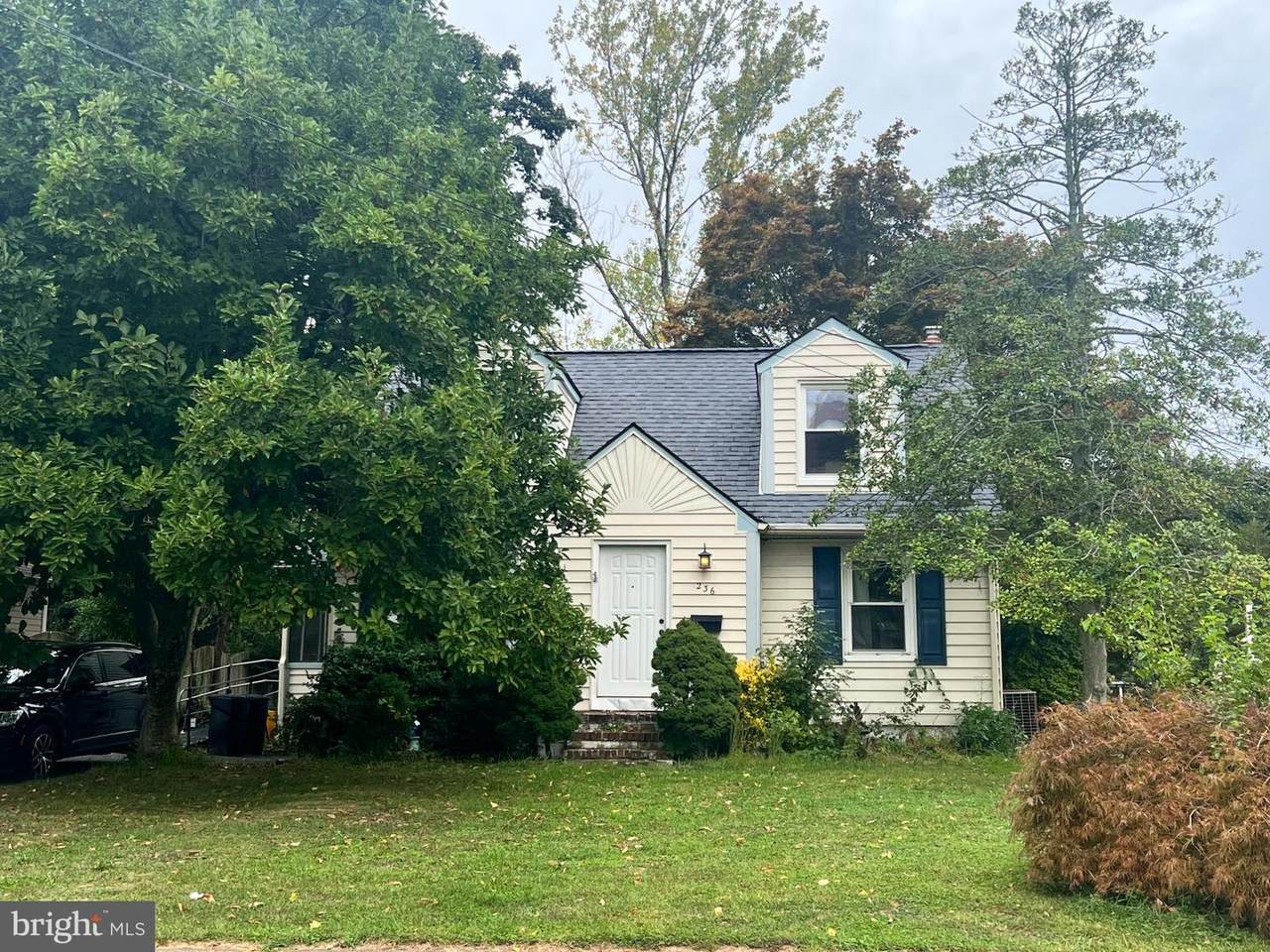 236 Springdale Avenue - Photo 1