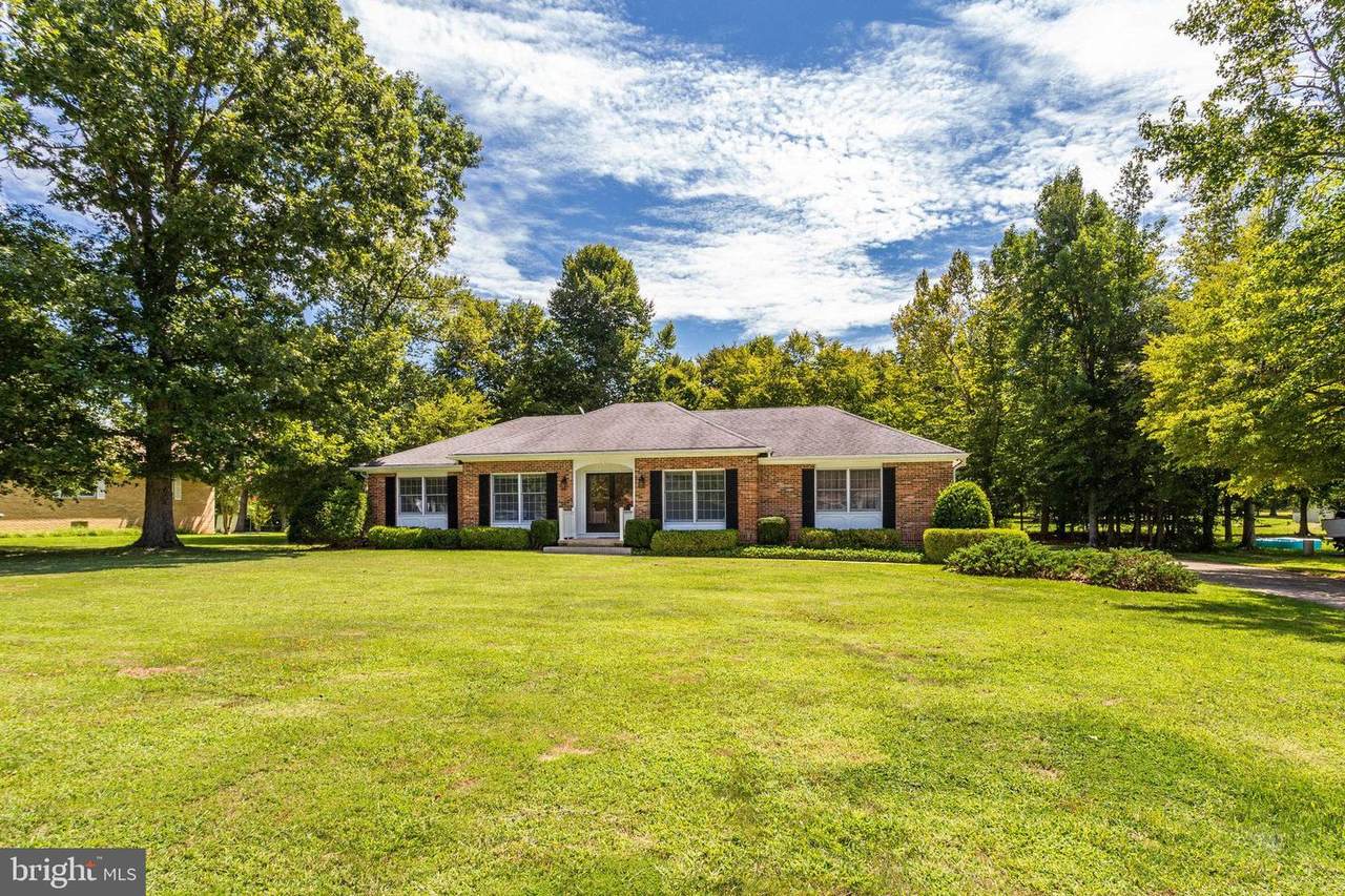 6650 Horseshoe Drive - Photo 1