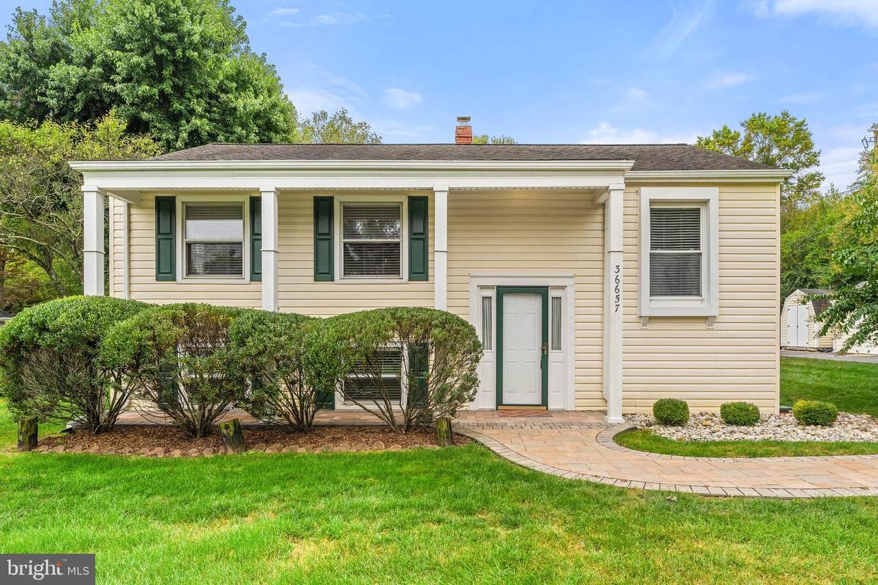 36657 Main Street - Photo 1