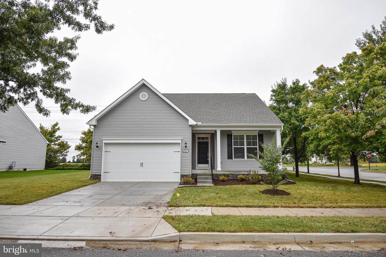29757 Captain Adamouski Street - Photo 1
