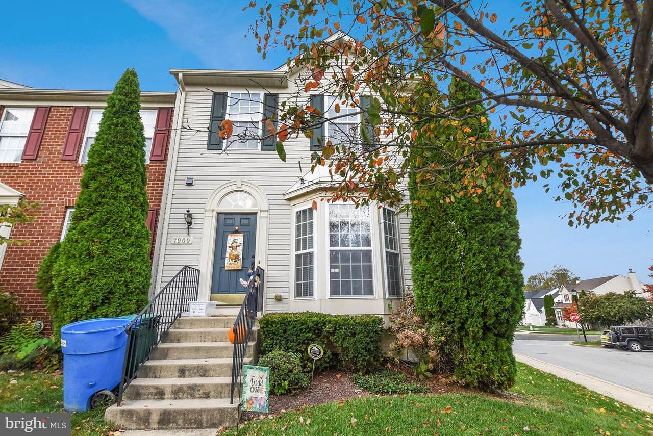 7900 Ivy Terrace - Photo 1