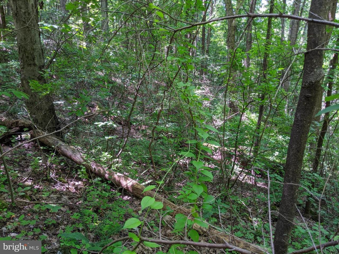 TBD 0VERLOOK MOUNTAIN Road - Photo 1