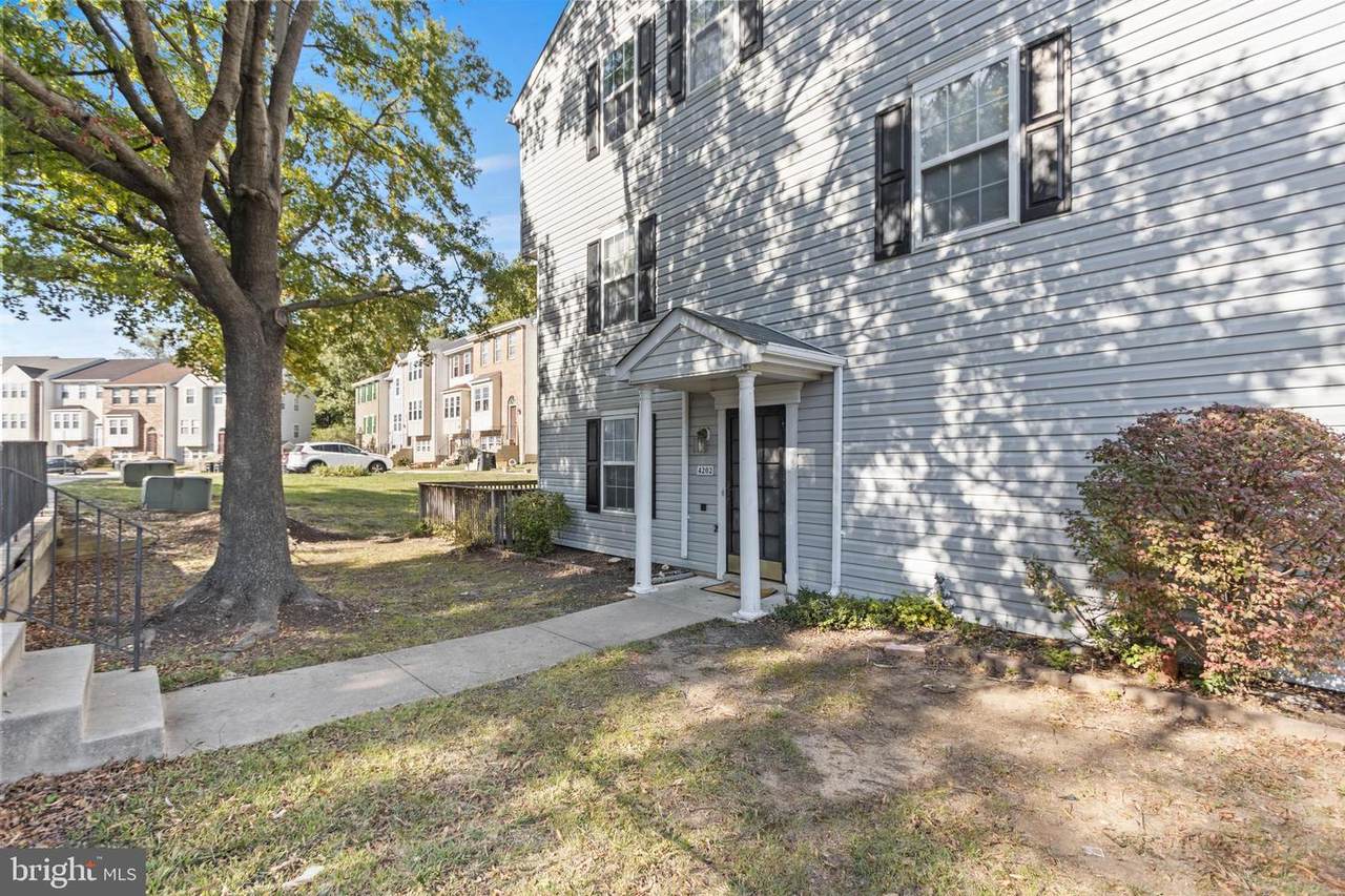 4202 Apple Orchard Lane - Photo 1