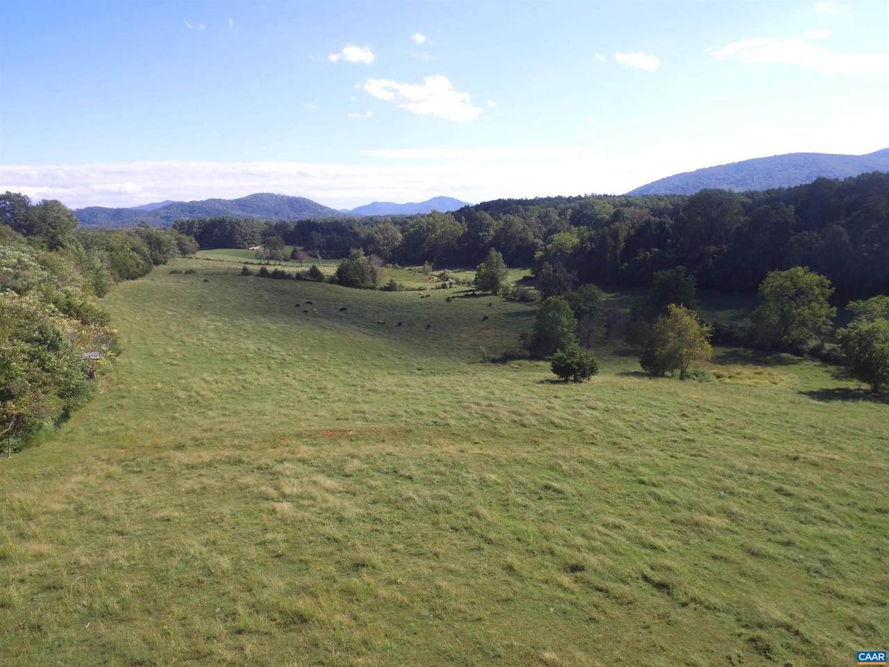 Lot 1 Afton Mountain Rd - Photo 1