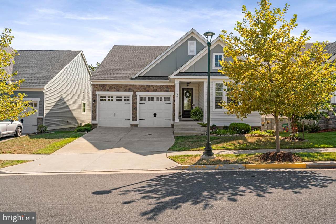 420 Coneflower Lane - Photo 1