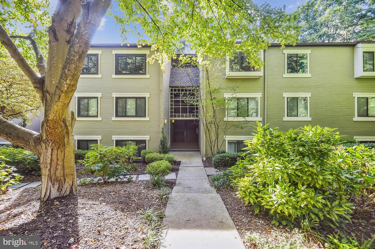 2212 Springwood Drive - Photo 1