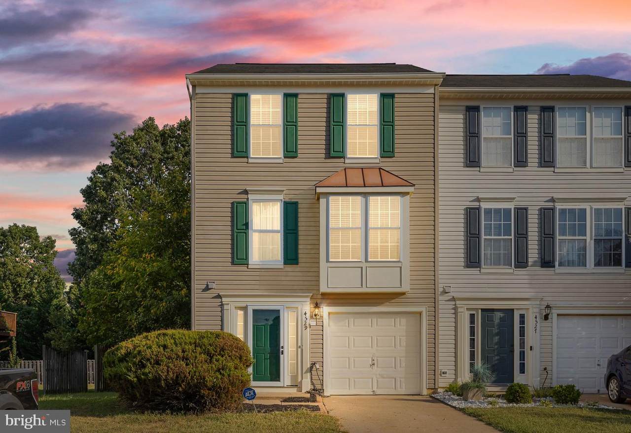4529 Papillion Court - Photo 1