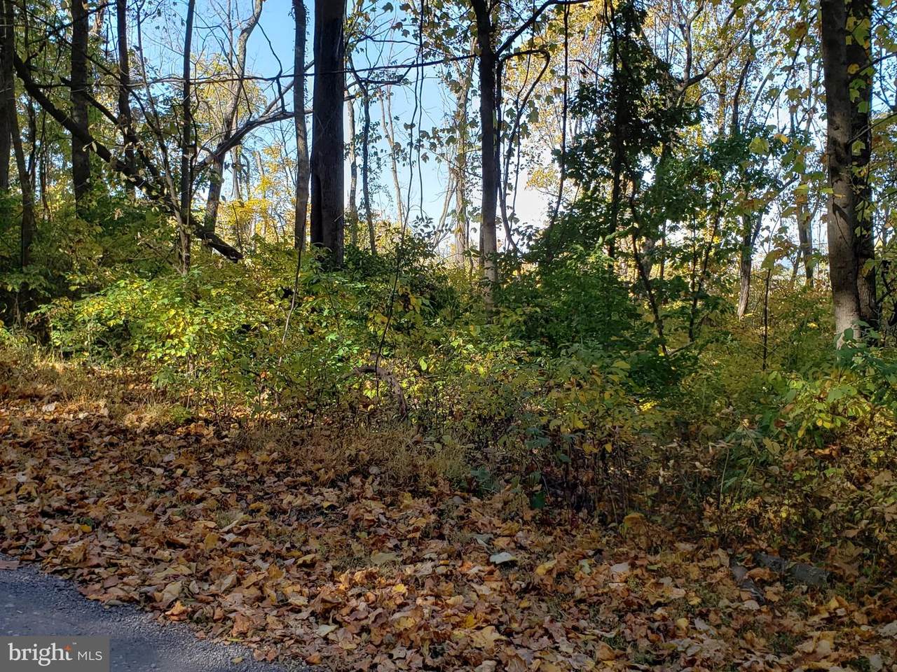 Lot 466 & 467 Pickford Court - Photo 1