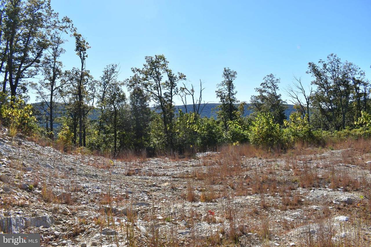 Lot 5 Fox Ridge Ln - Photo 1