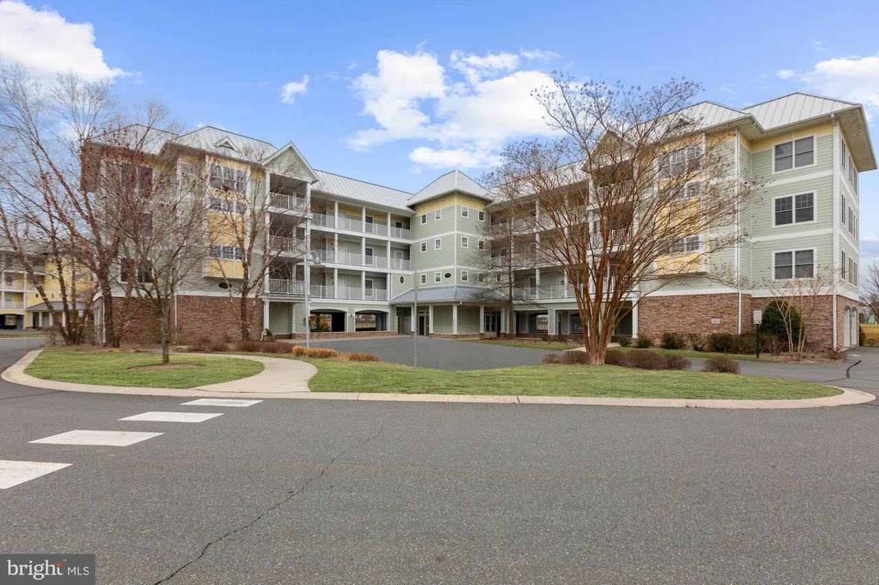33580 Windswept Drive - Photo 1
