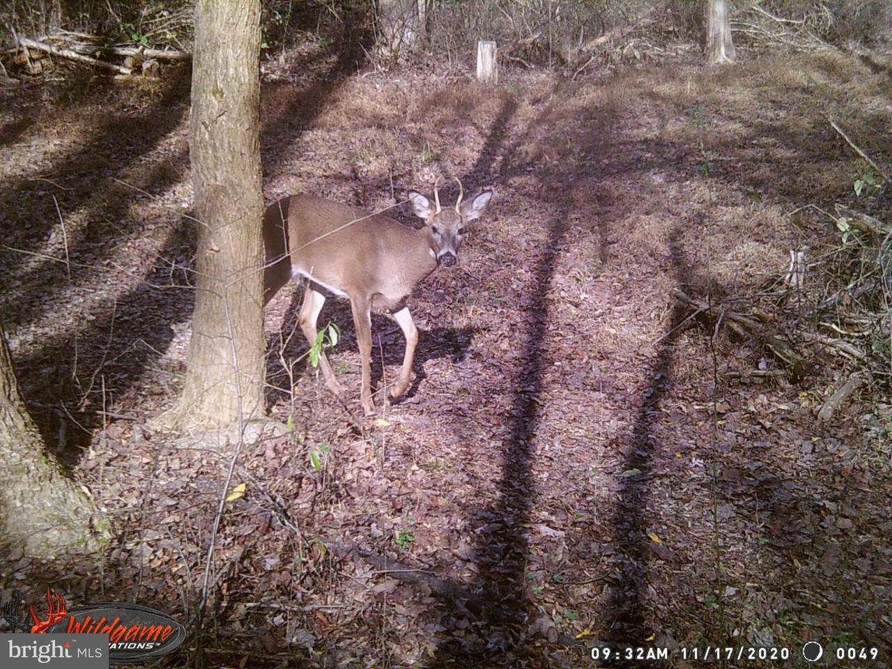 0 Rollins Ford Road - Photo 1