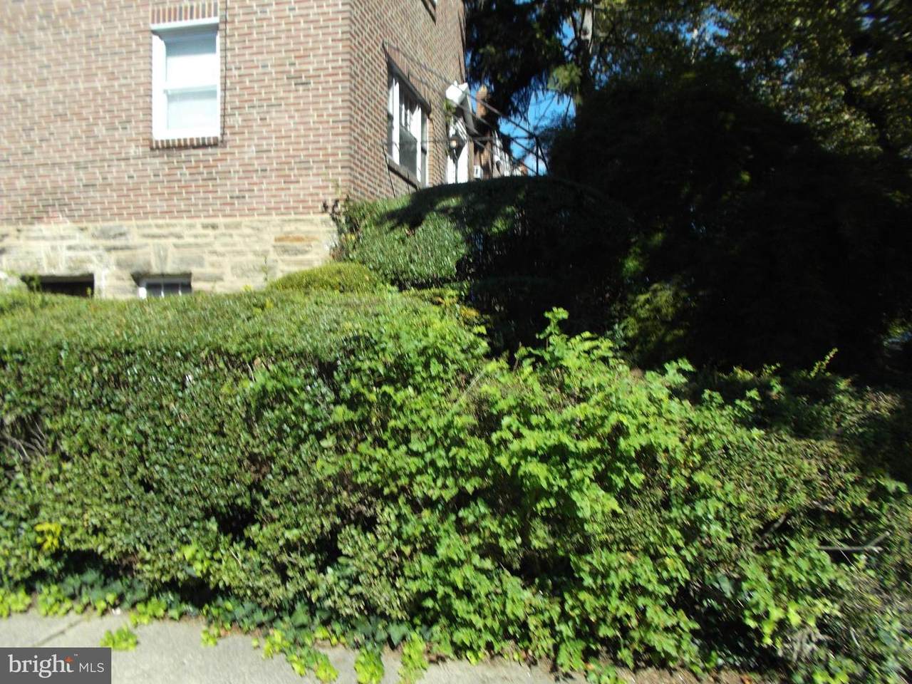 1501 Walnut Lane - Photo 1