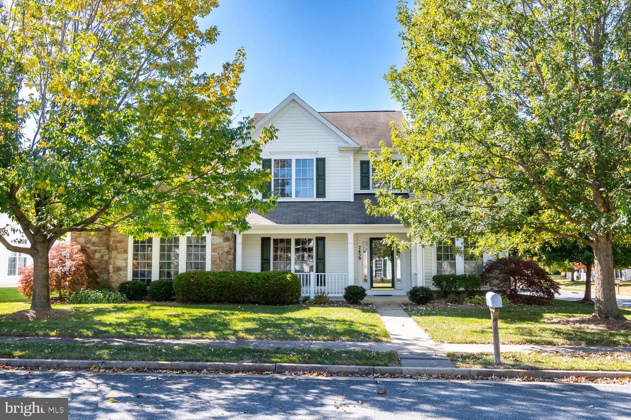 7459 Timothys Way - Photo 1
