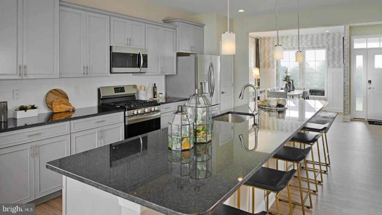 12129 American Chestnut Road - Photo 1