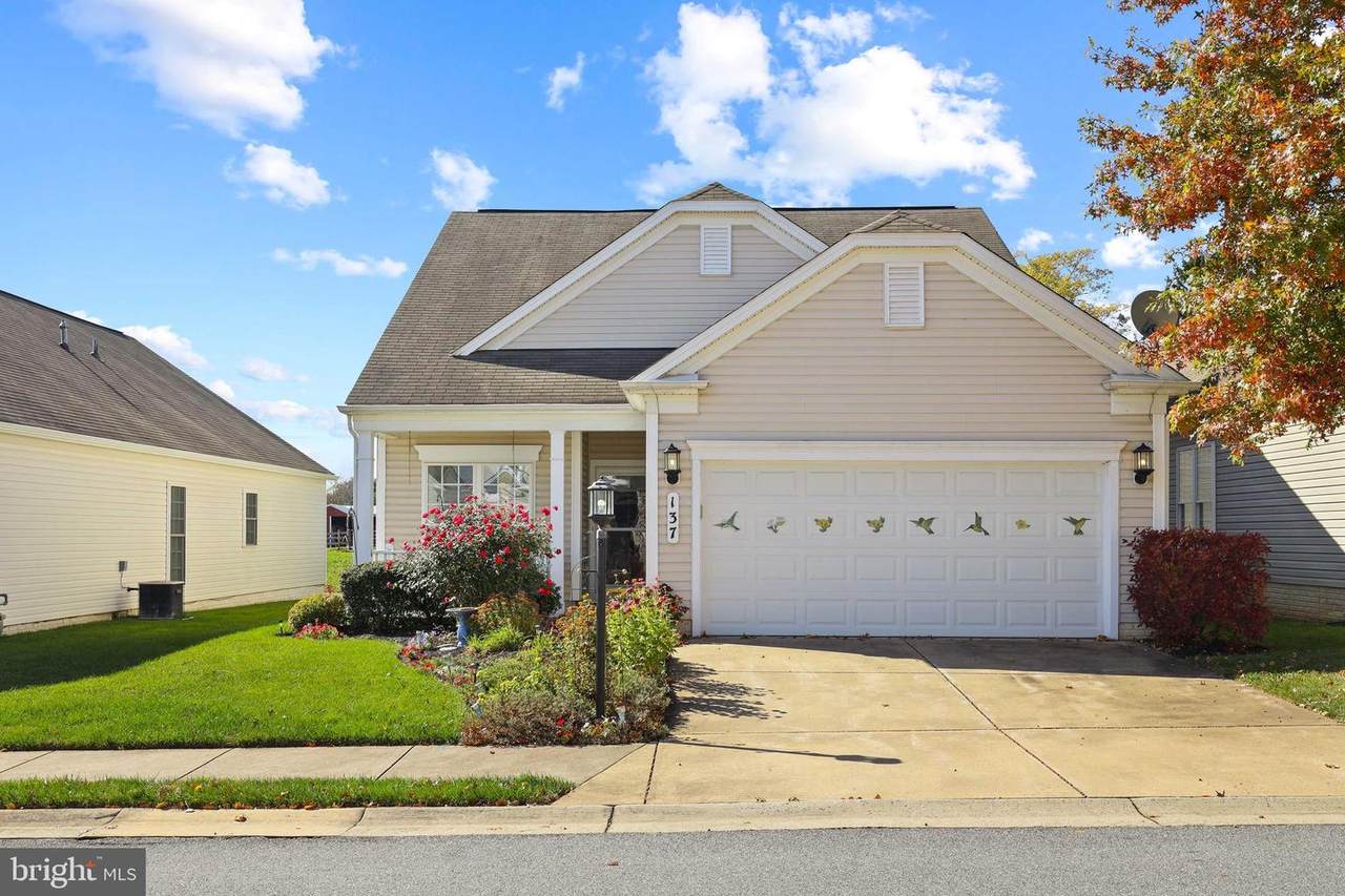 137 Saddletop Drive - Photo 1