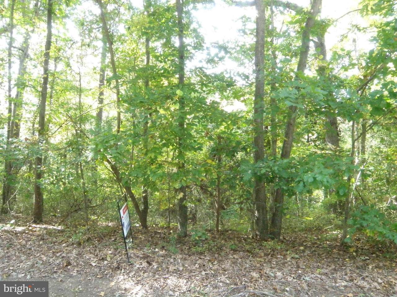 Lot 6 Benson Rd - Photo 1