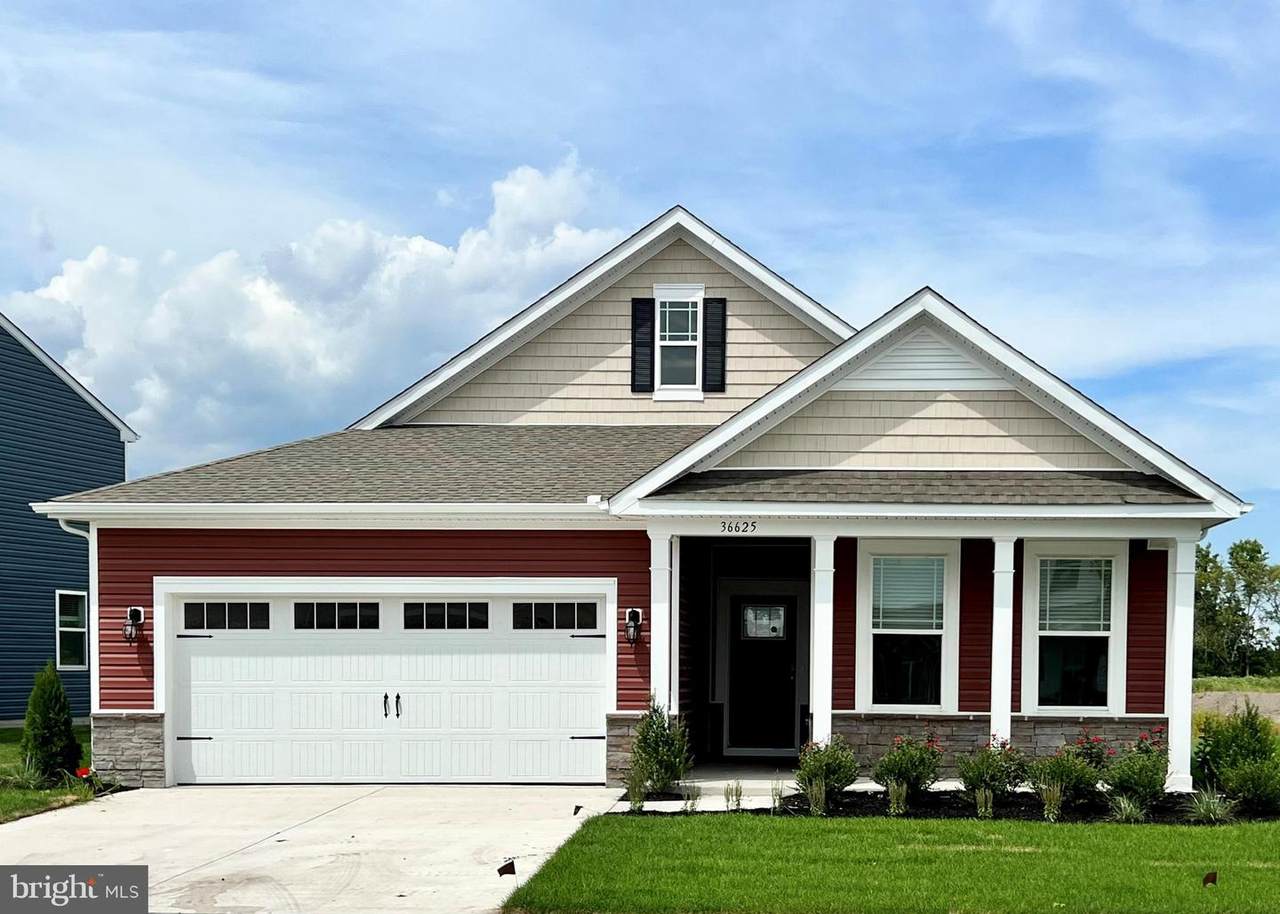 36705 Calm Water Drive - Photo 1