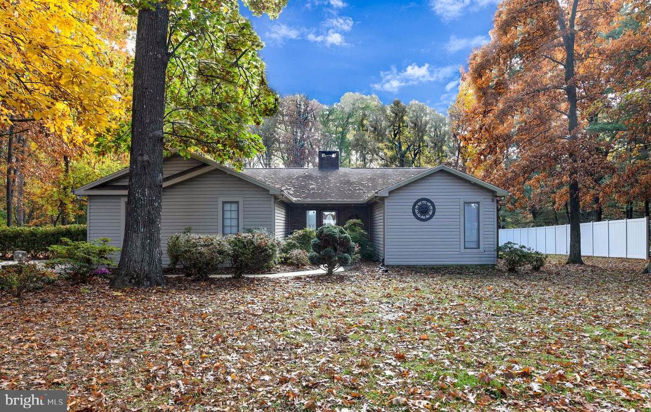 6401 Cedar Neck Road - Photo 1