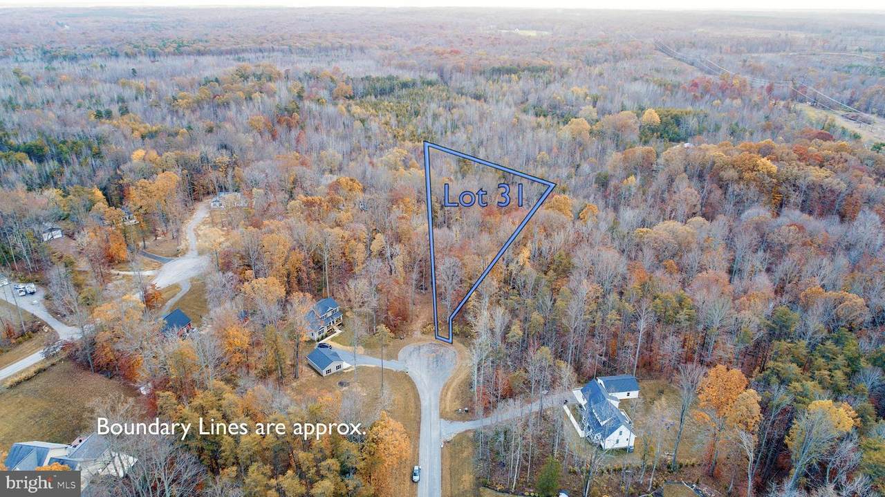 Lot 31 Alexandra Circle - Photo 1