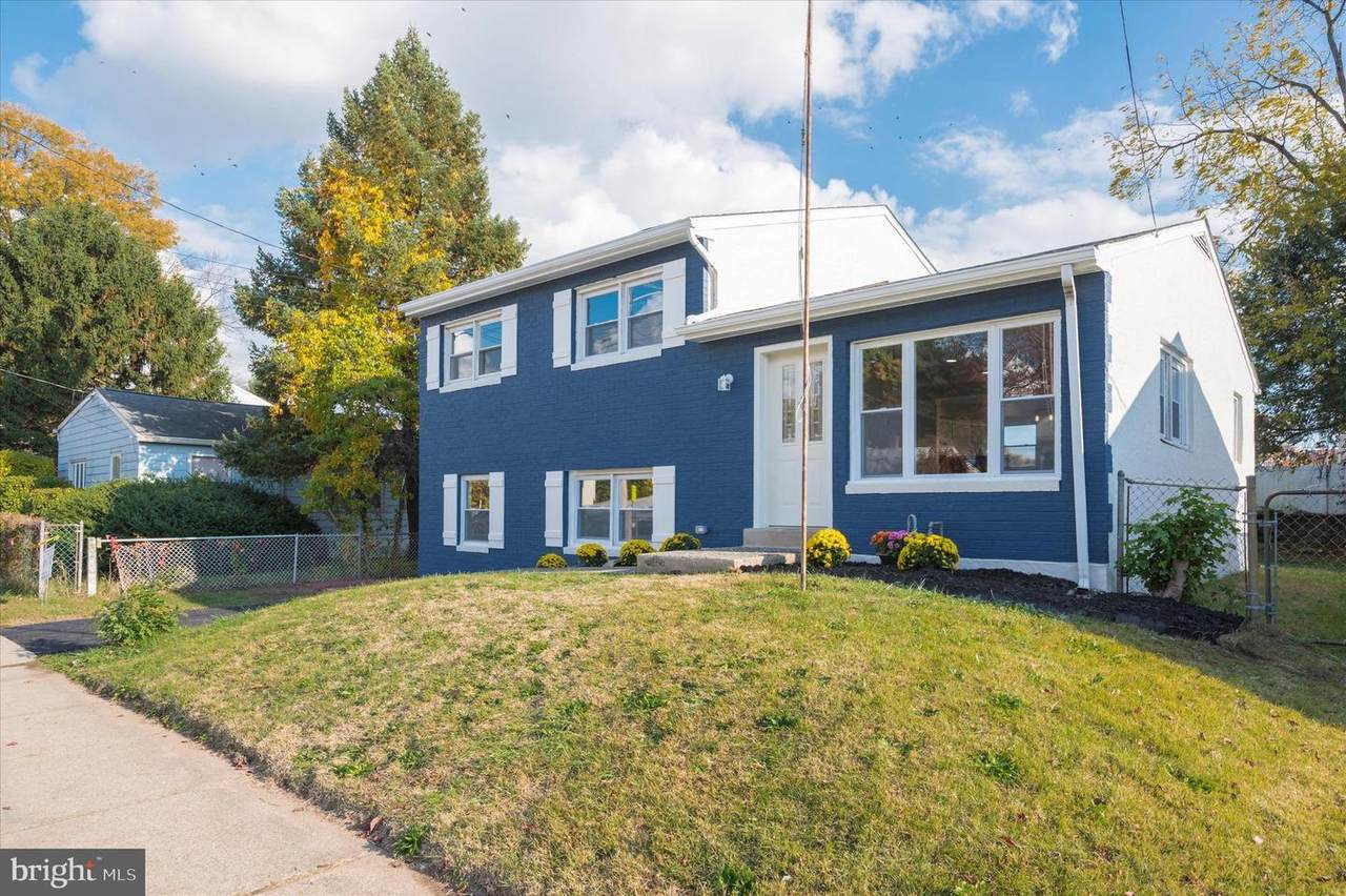 309 Chippewa Street - Photo 1