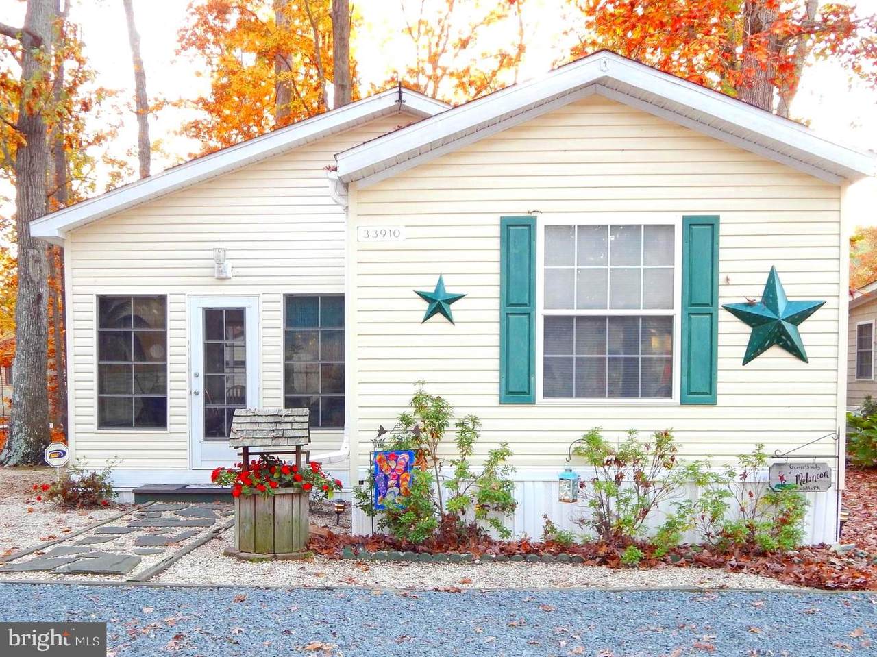 33910 New Moon Street - Photo 1