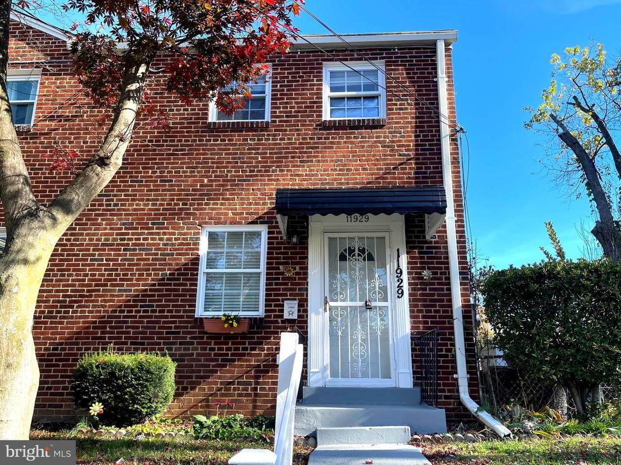 11929 Centerhill Street - Photo 1