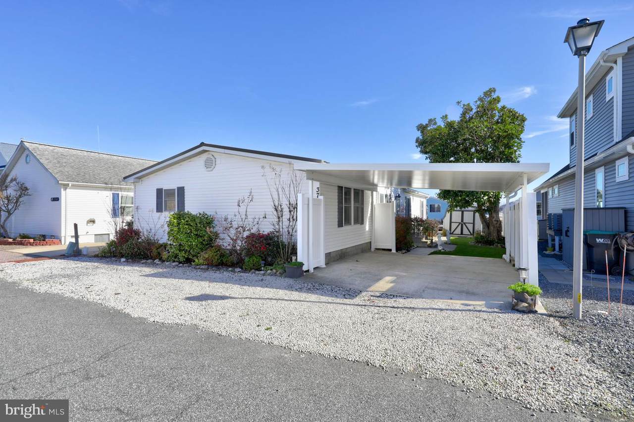37036 Pintail Drive - Photo 1