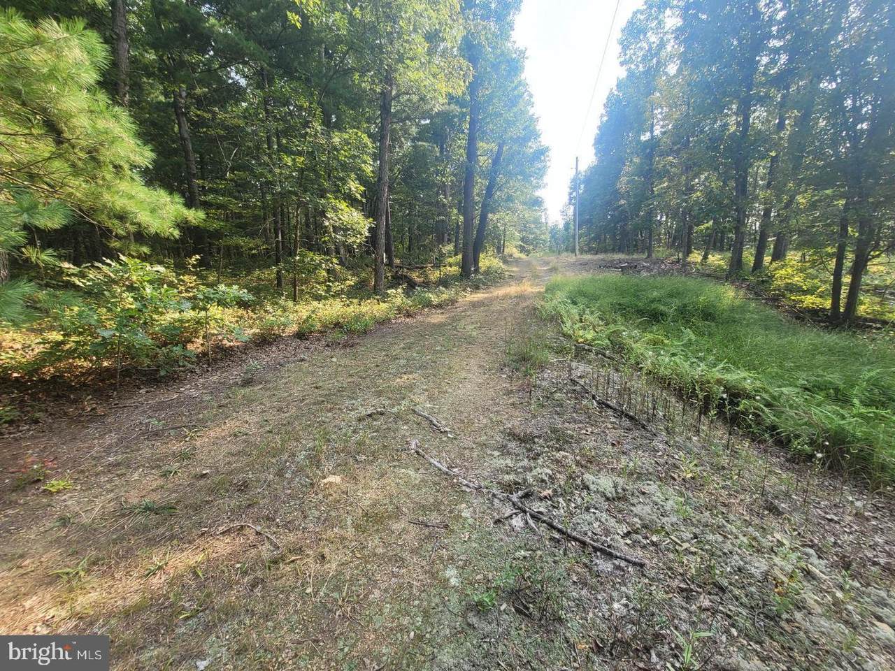 Lot #3 Four Wheel Dr - Photo 1