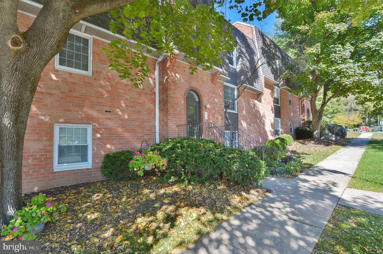 4000 Gypsy Lane - Photo 1