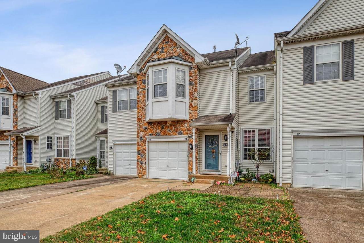 123 Threadleaf Terrace - Photo 1