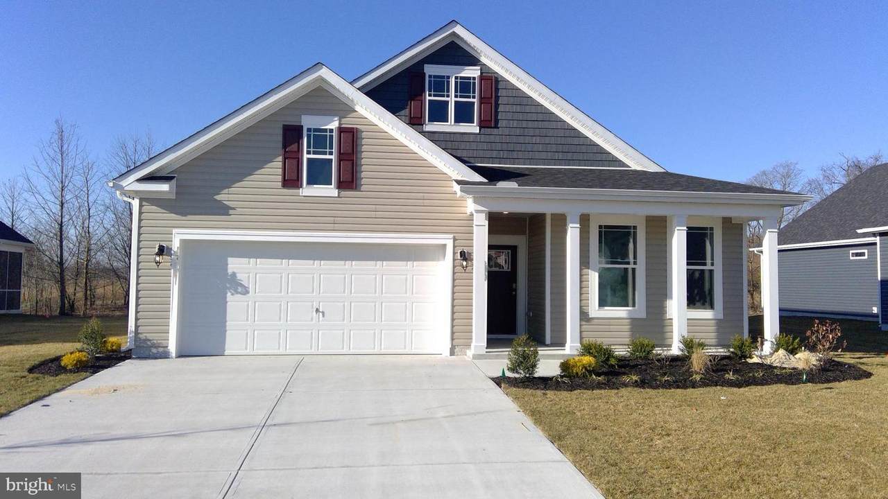 34234 Gooseberry Avenue - Photo 1