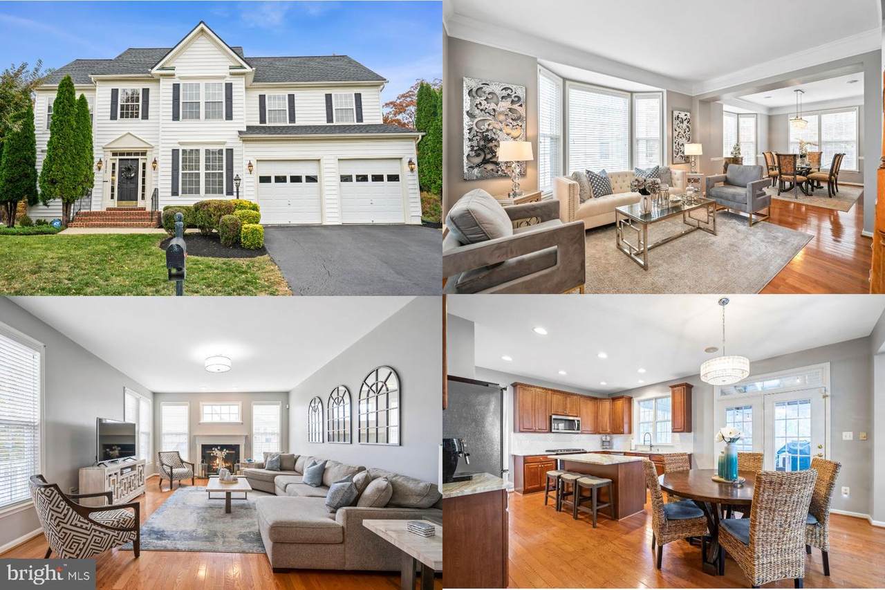 42072 Bear Tooth Drive - Photo 1