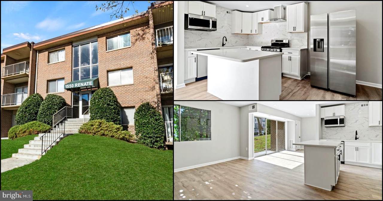 1550 Renate Drive - Photo 1