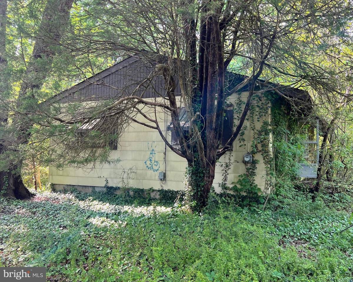 42296 Allison Drive - Photo 1