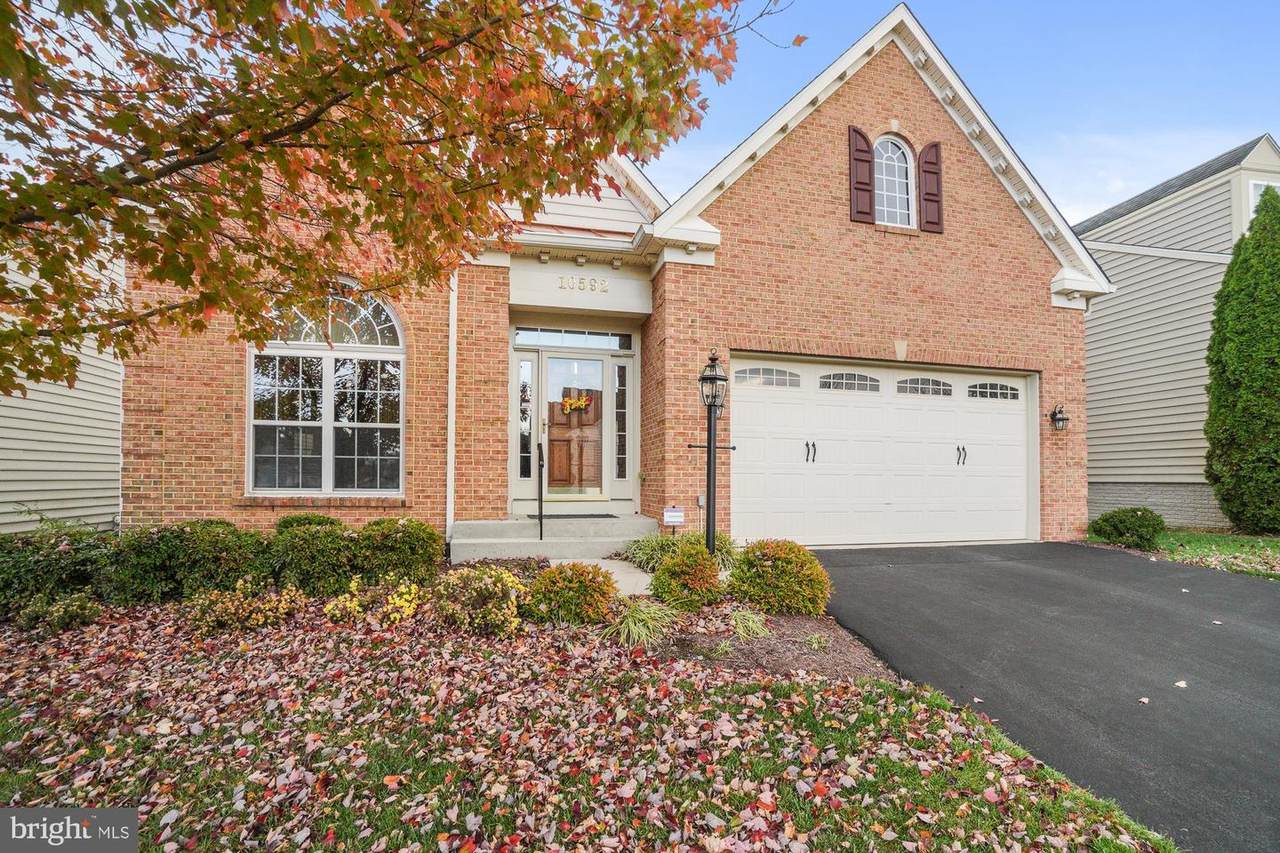 10592 Edwardian Lane - Photo 1