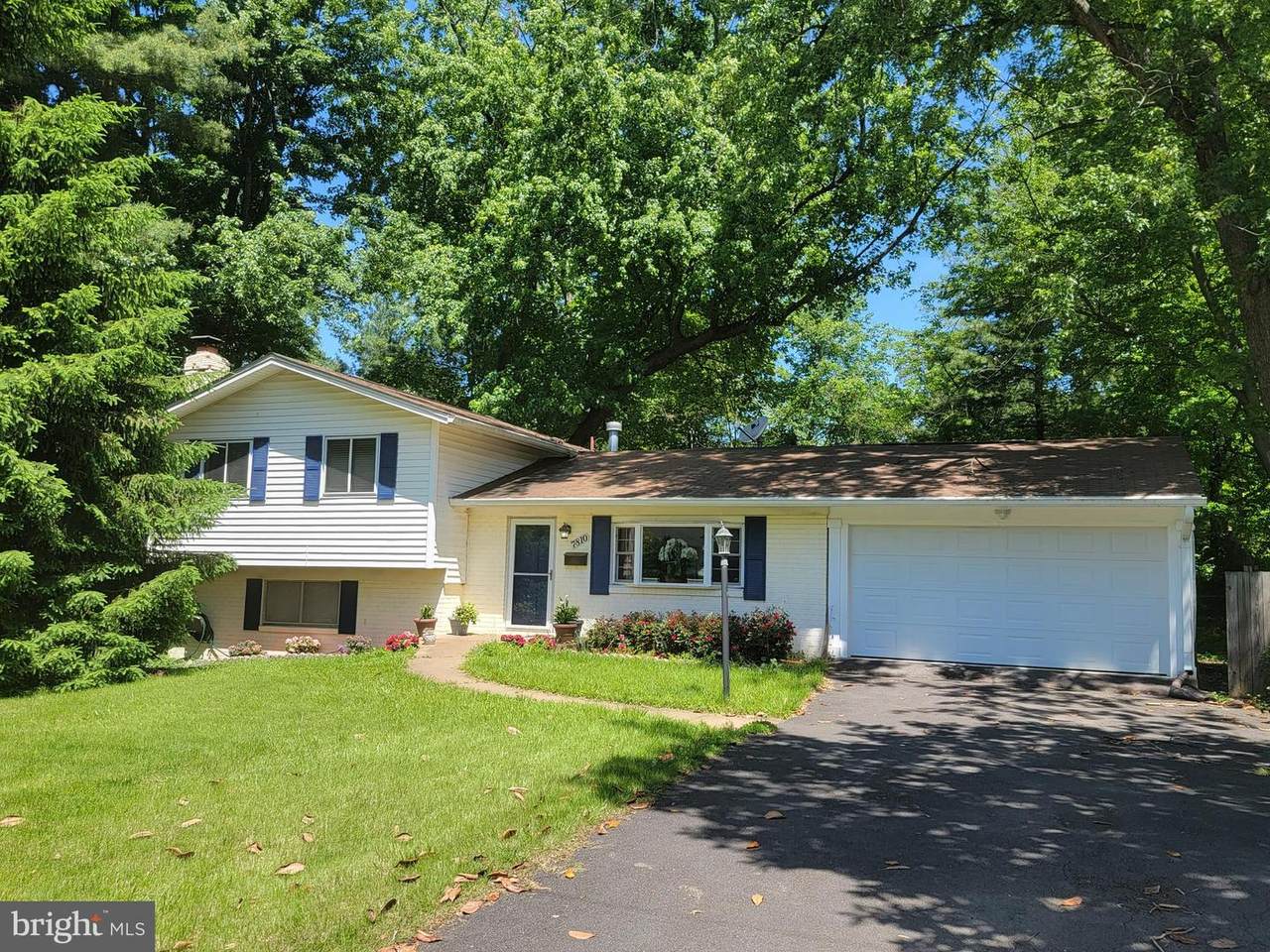 7810 Kalorama Road - Photo 1