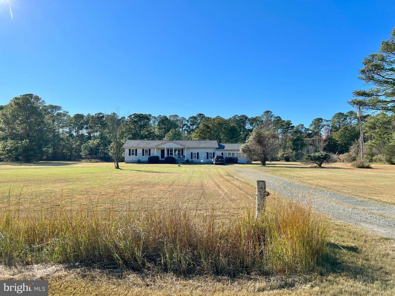27351 Phoenix Church Road - Photo 1