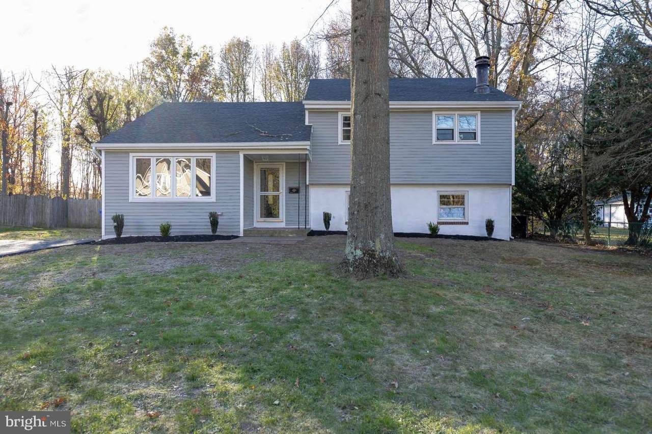 784 Candidus Avenue - Photo 1