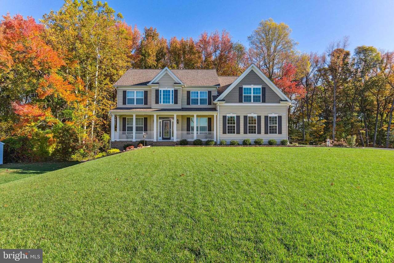 4435 Buttonbush Lane - Photo 1